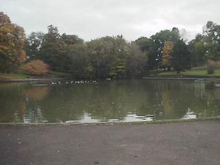 St.Georges Park Lake